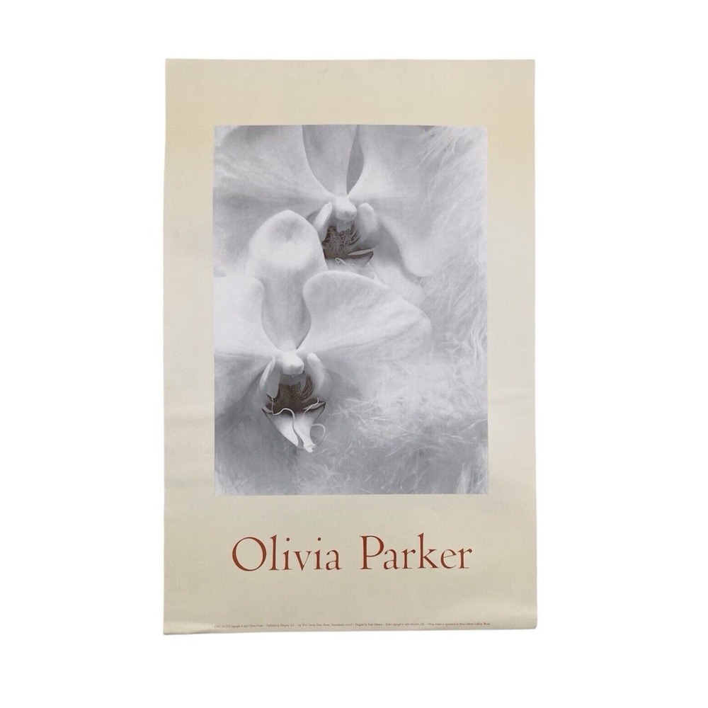 1982 Olivia Parker “Two Orchids” Brent Sikkema Gallery Promotional Poster 37”